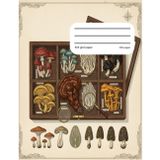 Graph Composition Book Mushroom: Unleash Your Creativity with 200 Pages of 5x5 Grid Paper for Sketching, Planning, and Dreaming