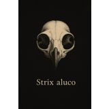 Graph Paper Notebook 5x5 mm – Strix aluco – 100 Pages – 6x9 Inches: Dark-academic style notebook with realistic owl skull illustration and Latin name on the cover