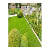Grass Seed 7 Günde Çimlenen Karışım Çim Tohumu 1,5 Kg 6 Lı Bölünüp Başka Ambalajda Gönderilecektir