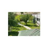 Grass Seed 7 Günde Çimlenen Üzerine Basılabilir Karışım Çim Tohumu 1,5 Kg 6 Lı