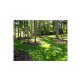 Grass Seed 7 GÜNDE ÜZERİNE BASILABİLİR İTHAL ÇİM TOHUMU 1 KG 6'LI KARIŞIM