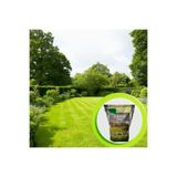 Grass Seed Italyan Karışım Çim Tohumu 5 Kg