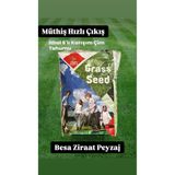 Grass Seed Süper Hızlı Çimlenen 6'lı Karışım Çim Tohumu -10 Kg