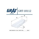 Grat Hava Fıltresı - (Toyota Rav4 00/05)