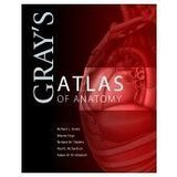 Gray's Atlas of Anatomy, 1e (Gray's Anatomy) 1st by Richard L. Drake, A. Wayne Vogl, Adam W. M. Mitchell, Richar (2007) Paperback