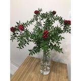 Green Deco Kokina (9 Dal 1 Demet ) -Yılbaşı -Şans Çiçeği