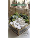 Green Efficiency Beyaz Dolomit Taşı 10 Kg 2-4 CM | Saksı Üstü Dekoratif Çakıl Taşı | Teraryum Bahçe Peyzaj ve Akvaryum Taş