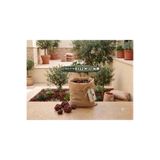 Green Efficiency Kırmızı Pomza Taşı 15-25 Mm 10 KG Volkanik Cüruf Ponza Lava Kırığı