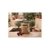 Green Efficiency Kırmızı Pomza Taşı 15-25 Mm 2,5 KG Volkanik Cüruf Ponza Lava Kırığı