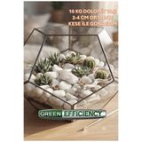 Green Efficiency Teraryum Bahçe Peyzaj ve Akvaryum Taşı | Beyaz Dolomit Taşı 10 Kg 2-4 CM | Saksı Üstü Dekoratif Çakıl Taşı