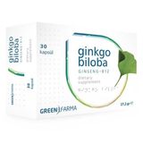 Green Farma Ginkgo Biloba - Gingseng - B12 30 Kapsül