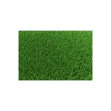 GREEN KING Dört Mevsim Yaz Kış Yeşil Çim Tohumu 4 Lü Karışım 1 Kg