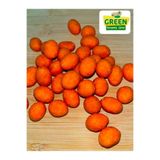 green kuruyemiş çerez kahve şekerleme SOSLU CİPS FISTIK 250 GR