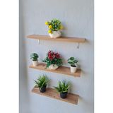 Green Life Design Metal Ayaklı Çok Amaçlı Duvar Rafı 3 Lü Set Duvar Rafı Çiçeklik Sukulent Rafı - Atlantik Çam