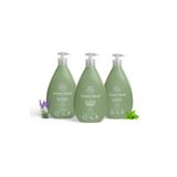 Green Mood Bitkisel 3’lü Sıvı El Sabunu Seti – Nane, Lavanta ve Sensitive (3 x 500 ml)