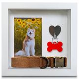 Green Pollywog | Köpek Künyesi, Yaka ve Fotoğraf Gölge Kutusu Çerçevesi | Evcil Hayvan Etiketi Anıt Gölge Kutusu | Pet Memorial Beyaz Resim Çerçevesi | 4" x 6" Resim Açılışı | 25,4 cm x 25,4 cm x 6,3 cm Gölge Kutusu