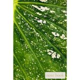 Green Variegated Leaf Texture Notebook: Tropical Caladium Pattern Journal for Plant Lovers and Botanical Inspiration