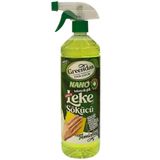 Greendas 1 lt Çok Amaçlı Leke Sökücü