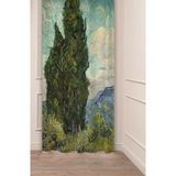 Greendecor Van Gogh Selviler Ünlü Eser Tablo Sanat Manzara Desenli Dijital Baskılı (Tek Kanat) Şık Fon Perde - Turkuaz - 135 x 270 cm