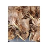 Greenherb SAFRAN SOGANI sfrn1