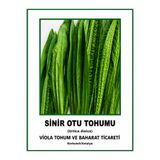 Greenherb SİNİR OTU (DAMAR OTU ) TOHUMU