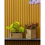 Greenmall Clota Saksı 2'li Set - - - --