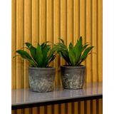 Greenmall Olven Saksı Antrasit 2'li Set - 11,5 cm x 11,5 cm x 10 cm - Siyah