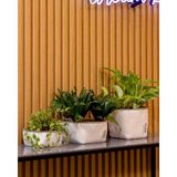 Greenmall Rosmerta Saksı 4'lü Set - - - --