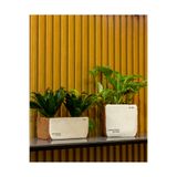 Greenmall Sirona Saksı 3'lü Set - - - --