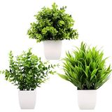 GREENTIME 3 paket Mini sahte bitkiler saksıda yapay plastik okaliptüs bitkisi buğday çimi saksı sahte yeşillik kapalı ofis masası sehpa banyo yatak odası ev süslemeleri