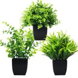 GREENTIME Yapay Saksı Bitkileri 3'lü Mini Sahte Bitki Seti, 3'lü Küçük Okaliptüs Saksı Bitkileri, Ev Ofis Masası, Banyo Rafı, Yatak Odası İç Mekan Dekorasyonları için Siyah Saksıda Buğday Çimi Sahte