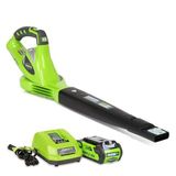 GreenWorks 40 V Bataryasız Akülü Üfleme Toplama Makinesi