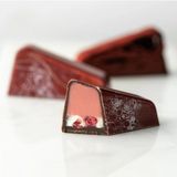 Greyas Moulds Polikarbon Dikdörtgen Pralin Çikolata Kalıbı 12.5 gr | CM-3893