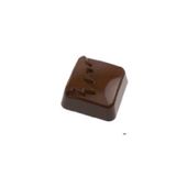 Greyas Polikarbon Kare Pralin Çikolata Kalıbı 13 gr | Cm-3911