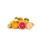 Greyfurt-Limon-Portakal-Kan Greyfurt-Tahiti lime Paket Fidanı