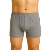 GRİ 6810 Arjantin Erkek Boxer
