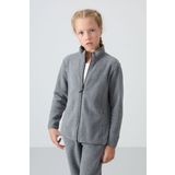 Gri Melanj Kalın Yumuşak Dokulu Standart Fit Nakışlı Polar Kız Çocuk Sweatshirt - 75154