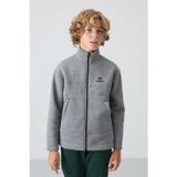 Gri Melanj Pamuklu Kalın İçi Tüylü Standart Fit Nakışlı Erkek Çocuk Sweatshirt - 11245