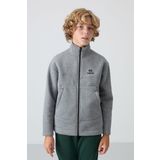 Gri Melanj Pamuklu Kalın İçi Tüylü Yumuşak Dokulu Standart Fit Nakışlı Erkek Çocuk Sweatshirt - 11245