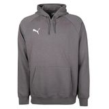 Gri Puma Türkiye Futbol Antrenman Sweatshirt Turkey Hoodie 60546903