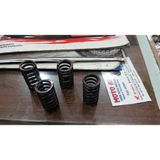 Grifin Soft Cbf 250 Debriyaj Yayları