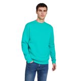 Grimelange Travıs Erkek Yumuşacık Kumaşlı Regular Fit Yuvarlak Yakalı Yeşil Sweatshirt