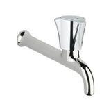 Grohe 30064001 Costa L Uzun 150 mm Duvardan Tek Musluk