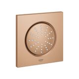 Grohe GRH27253000 Rainshower F-Series 5 1 Akışlı Tepe Duşu
