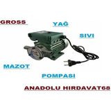 Gross 220 V 1 Sıvı Aktarma Pompası