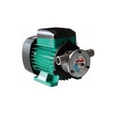 Gross Mazot Aktarma Pompası 220 V 1" Pro Gr220P