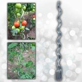 Group 10 Adet 150 cm Metal Spiral Bitki Destek Çubuğu Fidan Bağlama Teli ve Çiçek Teli