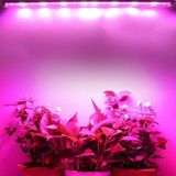 Grow Led 12v Full Spectrum Led Bitki Büyütme Ledi Alüminyum Kasalı 100cm