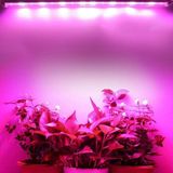 Grow LED 12V Full Spectrum LED Bitki Büyütme Ledi Alüminyum Kasalı 50CM - 50 cm - Çok Renkli