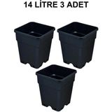 Grow Wizard Plastik Kare Saksı 14 Litre 3 Adet